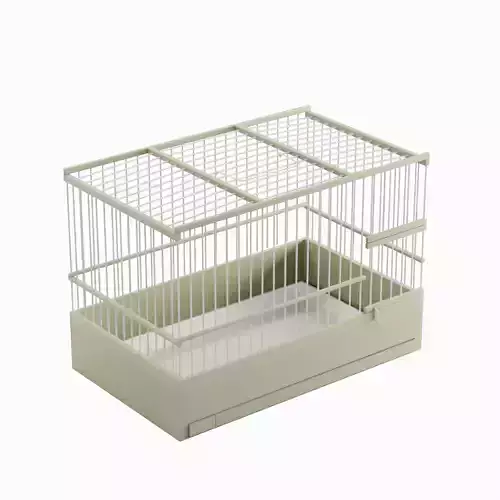 Small Birdcage 01