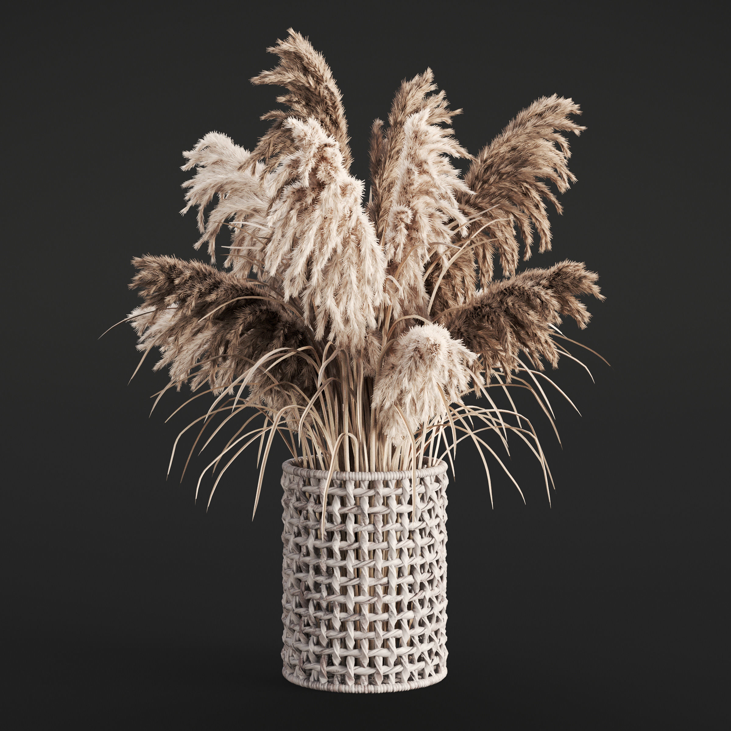 Archmodels vol 294 - collection of dry plant bouquets 3D model_16