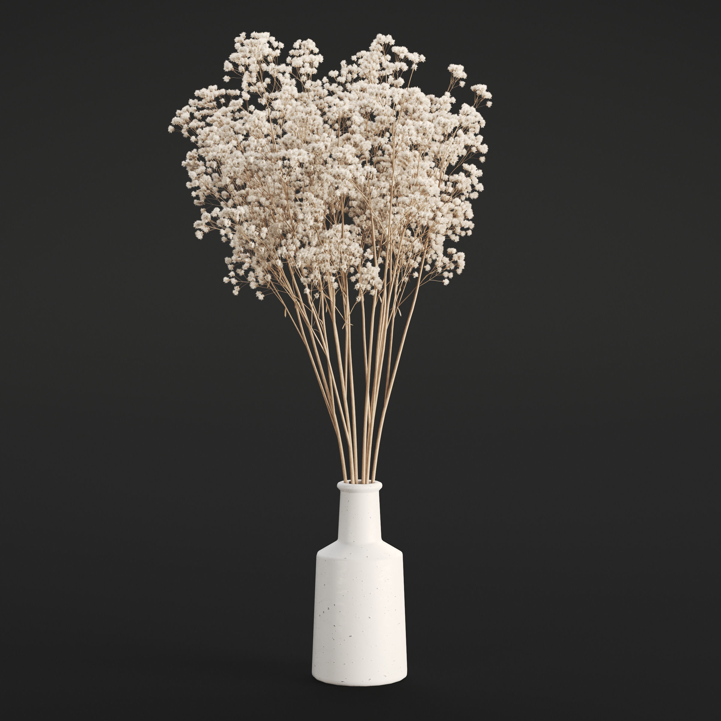 Archmodels vol 294 - collection of dry plant bouquets 3D model_31