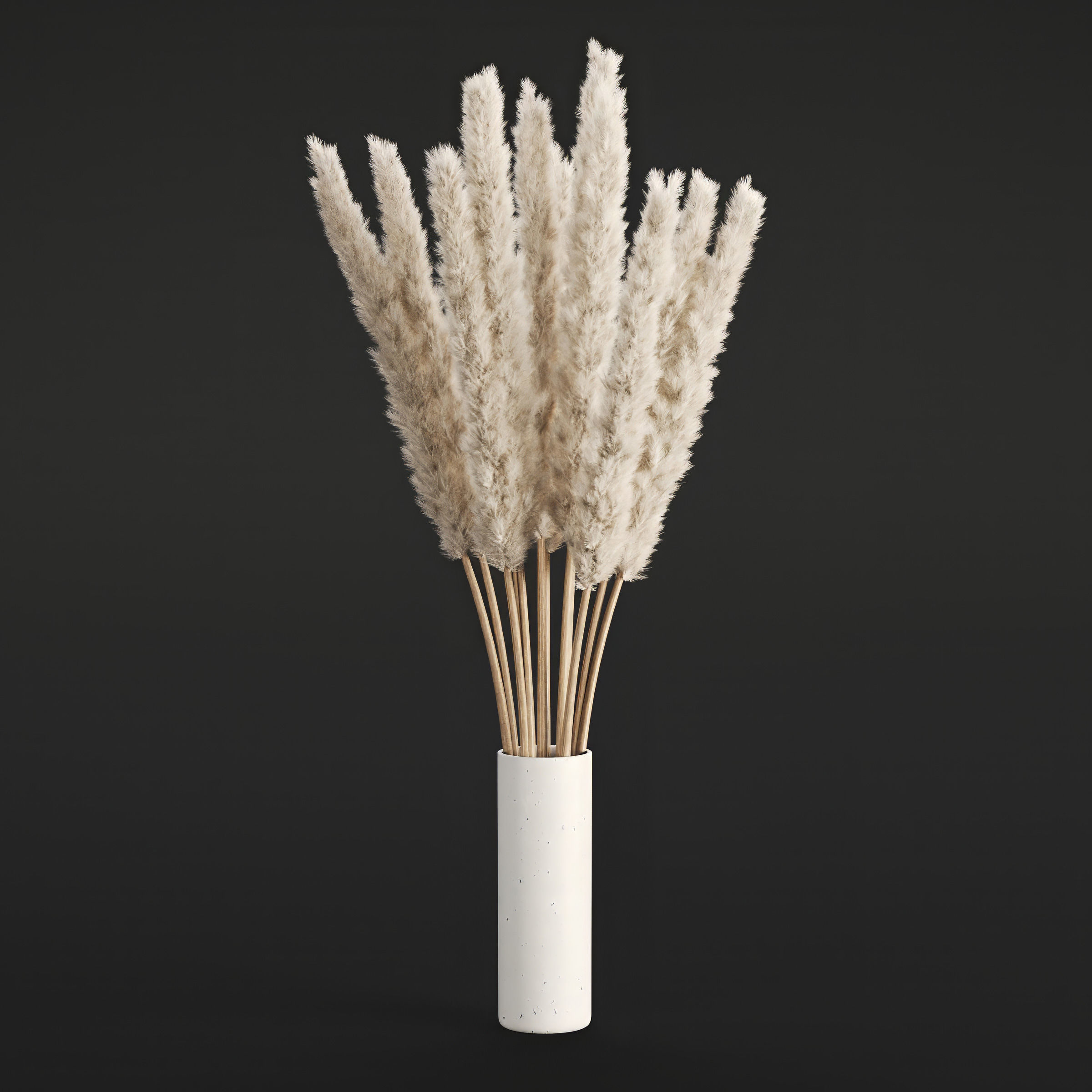 Archmodels vol 294 - collection of dry plant bouquets 3D model_6