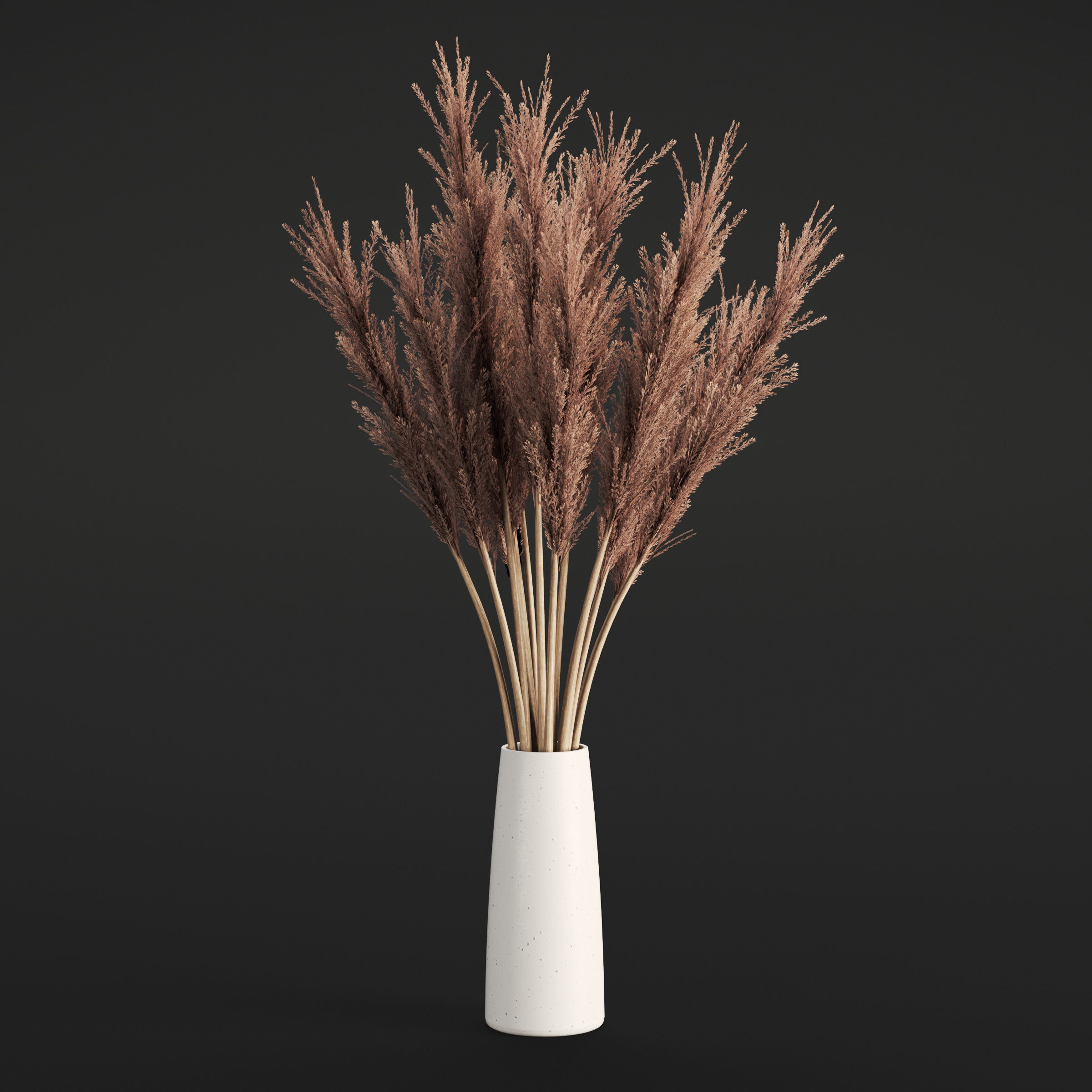 Archmodels vol 294 - collection of dry plant bouquets 3D model_5