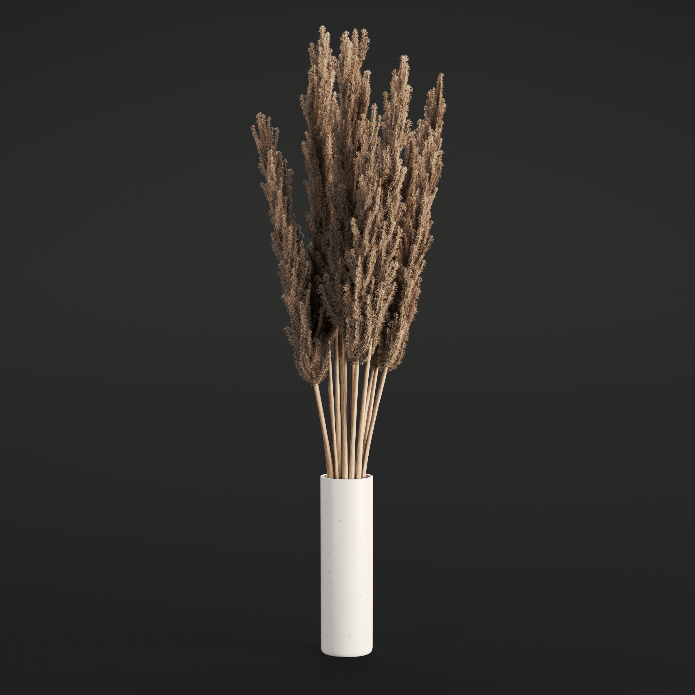 Archmodels vol 294 - collection of dry plant bouquets 3D model_12