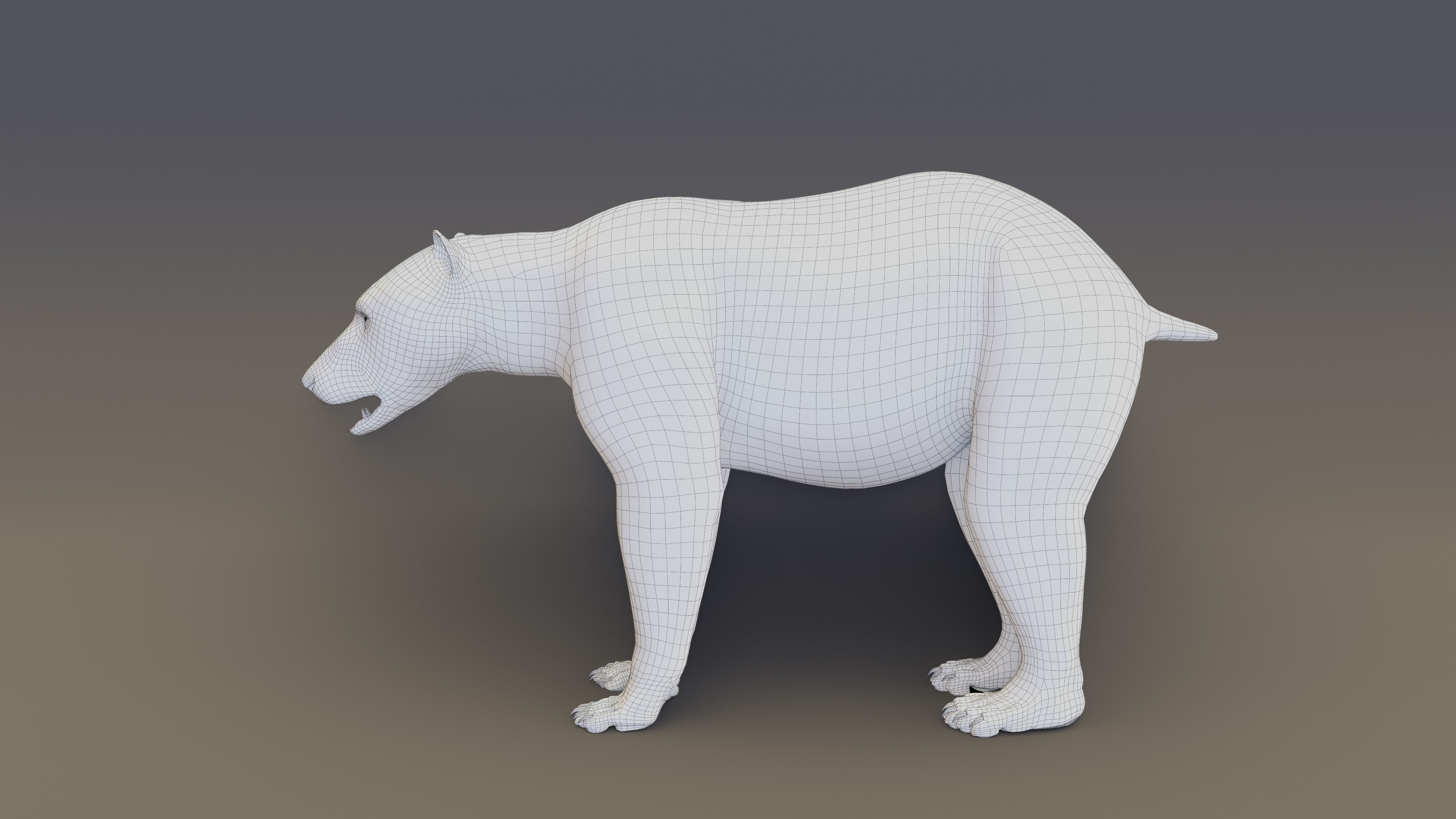 Polar Bear 3D model_10