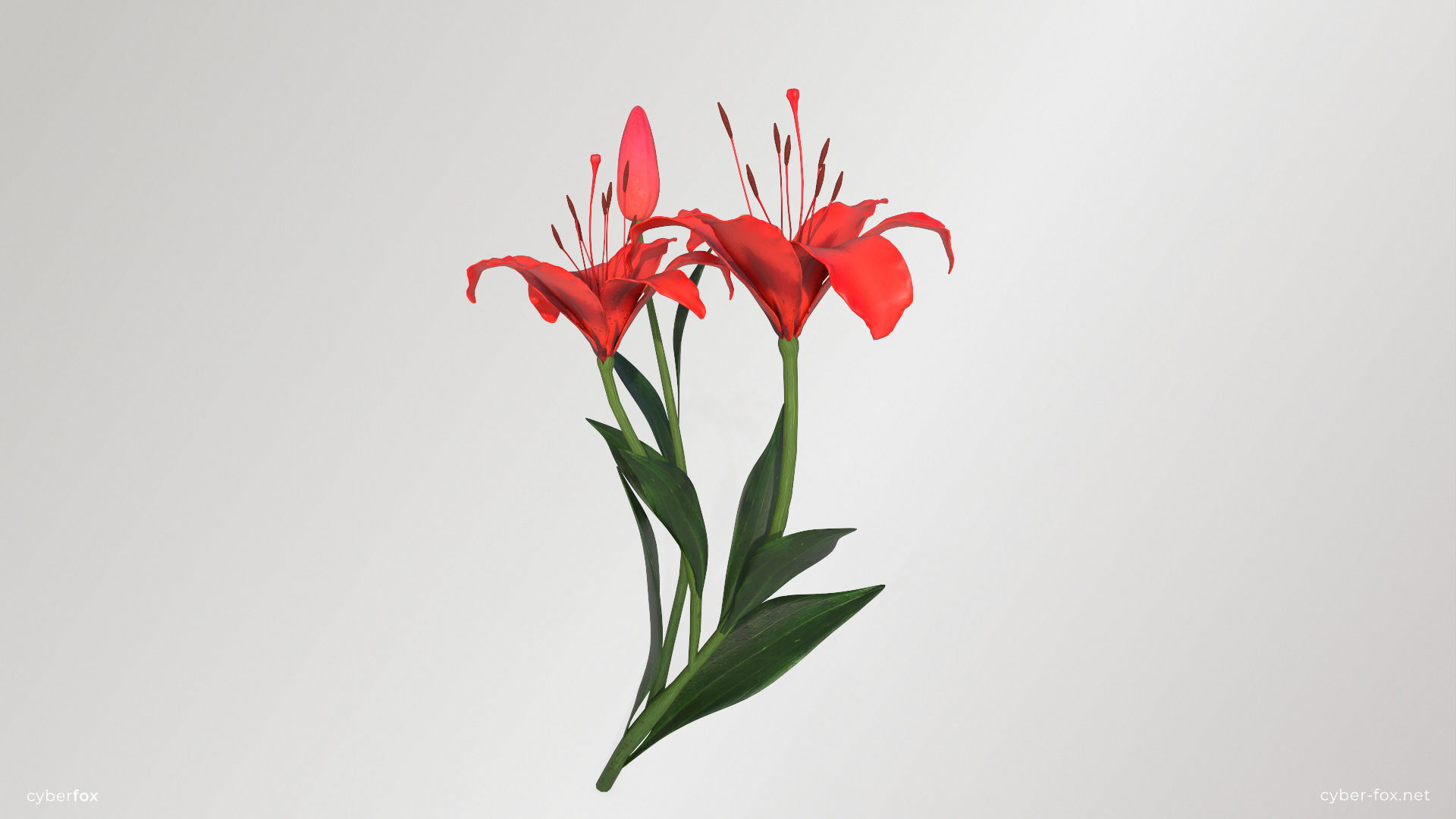 Red Lilies Low-poly 3D model_1