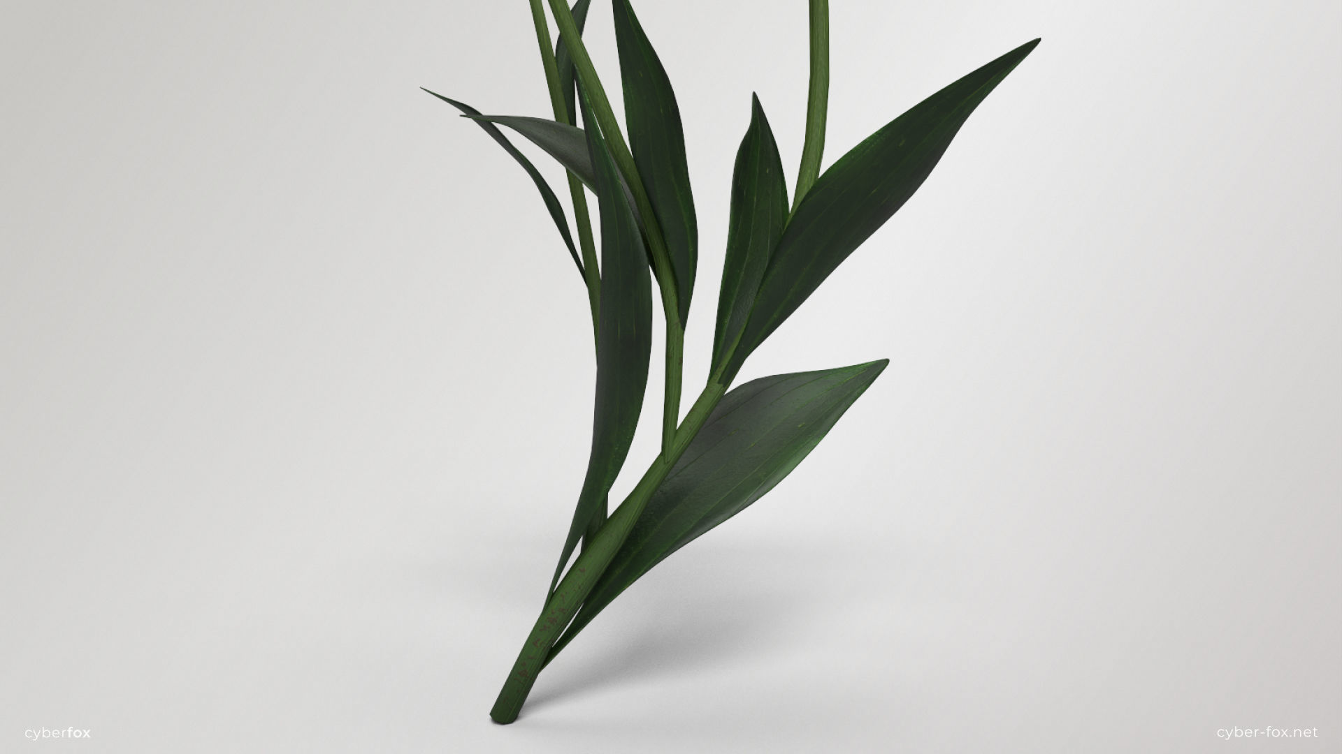 Red Lilies Low-poly 3D model_7