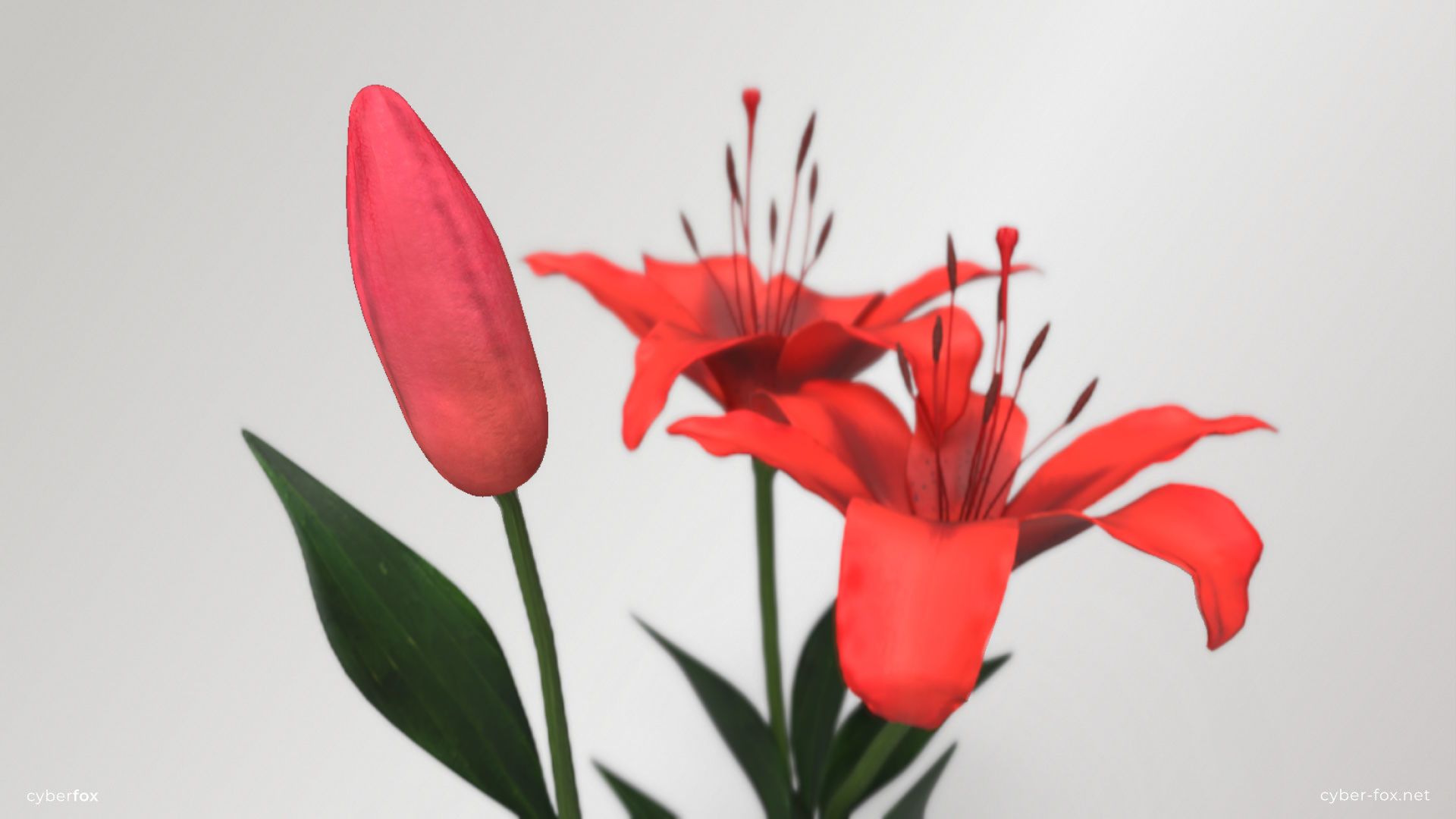 Red Lilies Low-poly 3D model_5