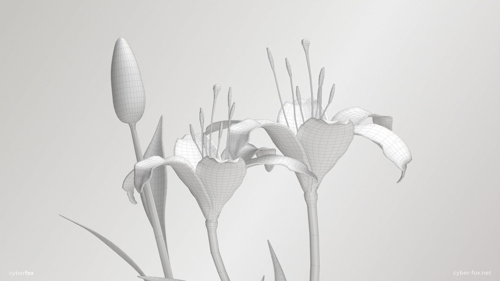 Red Lilies Low-poly 3D model_10