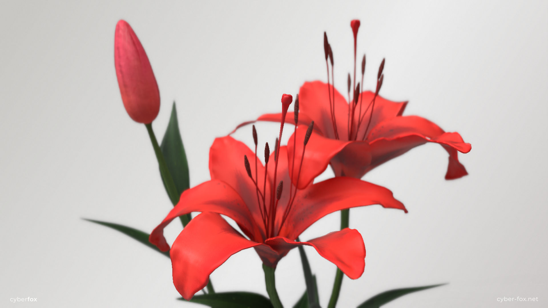 Red Lilies Low-poly 3D model_4