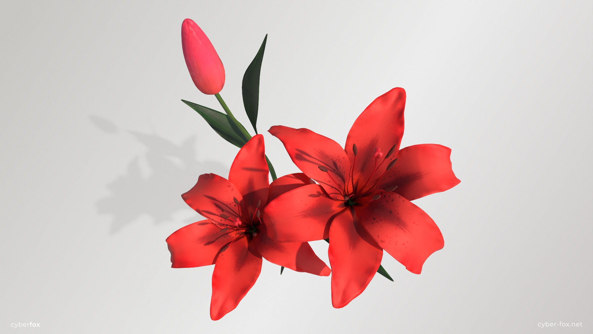 Red Lilies Low-poly 3D model_2