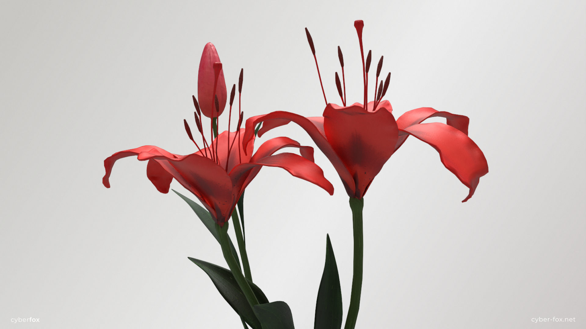 Red Lilies Low-poly 3D model_3
