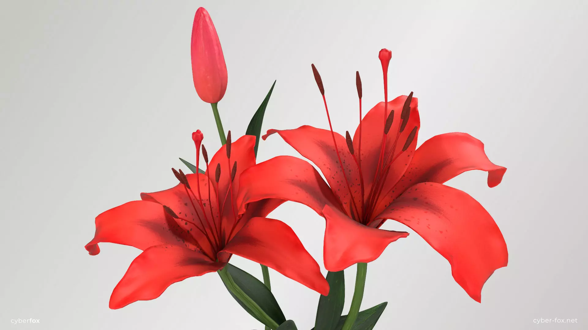 Red Lilies Low-poly 3D model_0