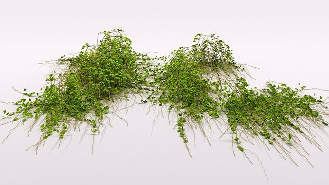 Ivy Pack Low-poly 3D model