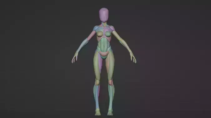 female character basemeshse 3d