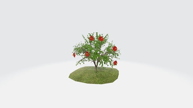 Hibisco Vermelho 3D model