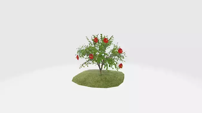Hibisco Vermelho 3D model