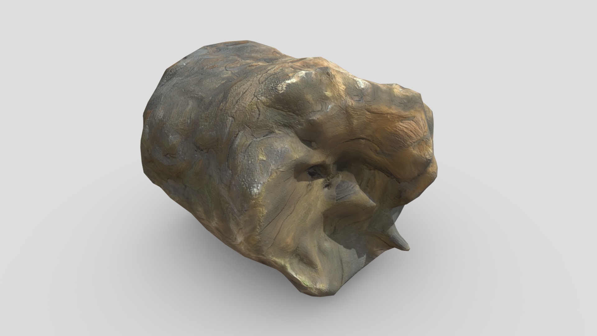 Ancient Tree Trunk Low-poly 3D model_7