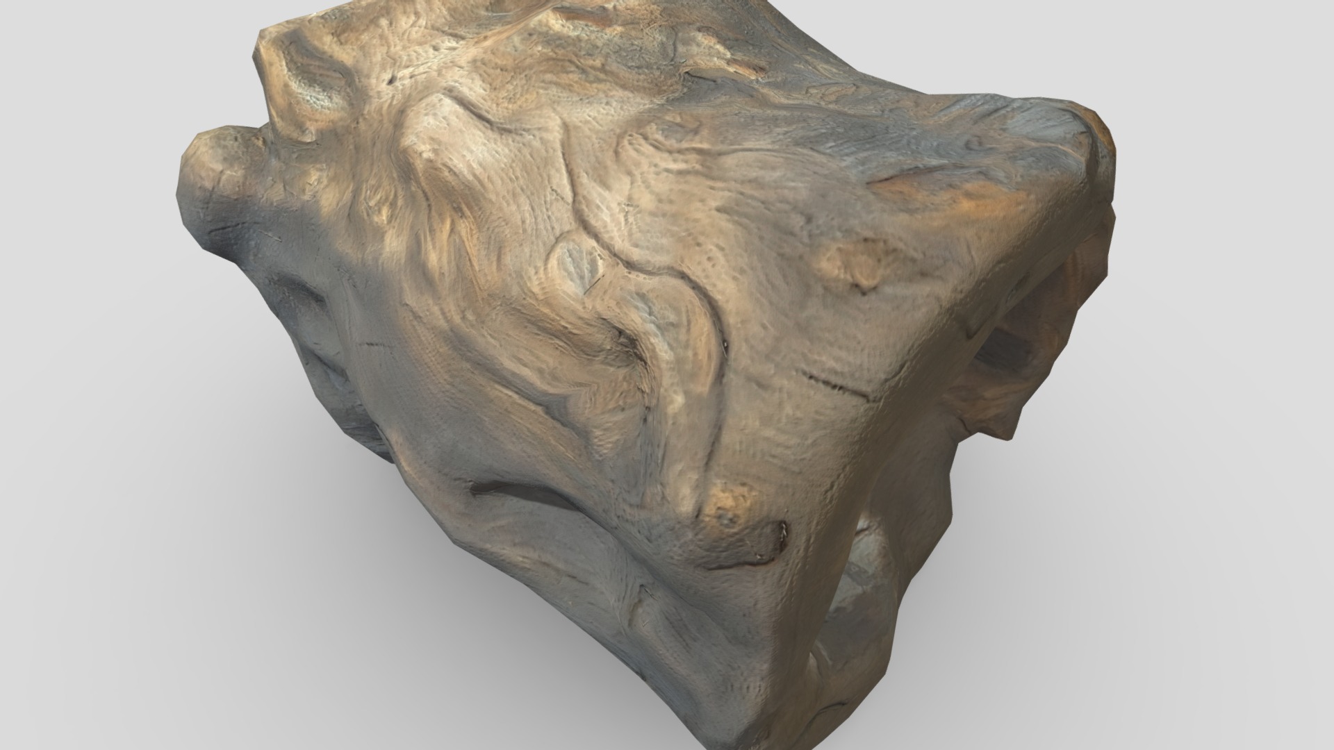 Ancient Tree Trunk Low-poly 3D model_9