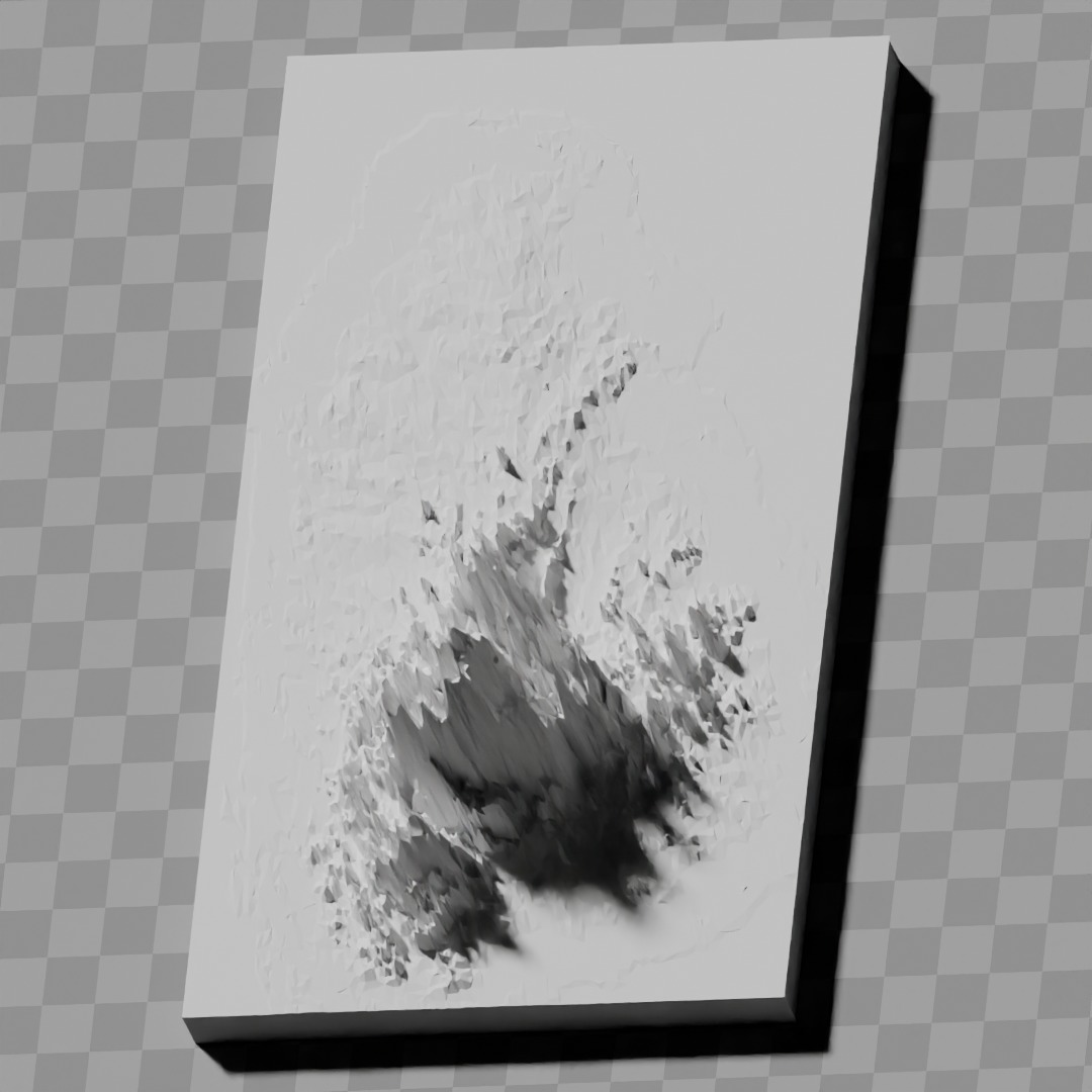 Sri Lanka topography raised relief maps collection 3D print model_6