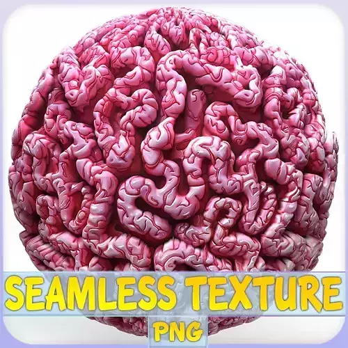 Anatomy Seamless Texture