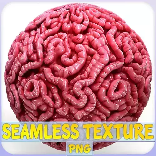 Anatomy Seamless Texture
