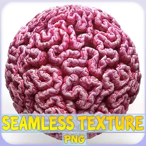  Anatomy Seamless Texture