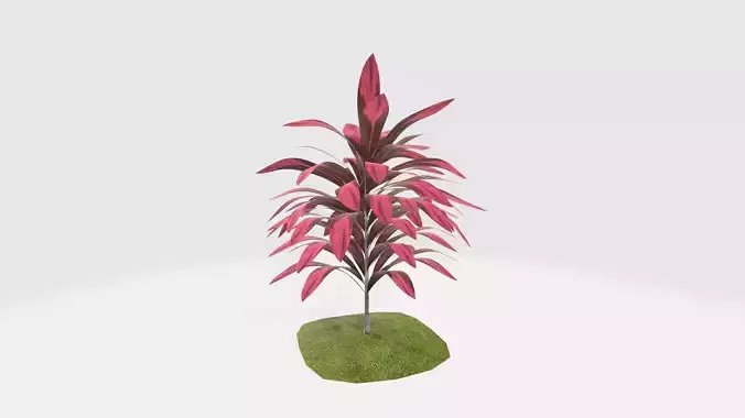 Cordylilne