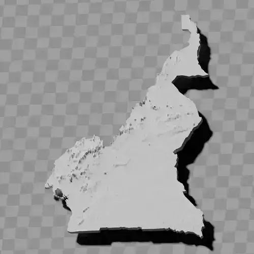 Cameroon topographic raised relief maps collection