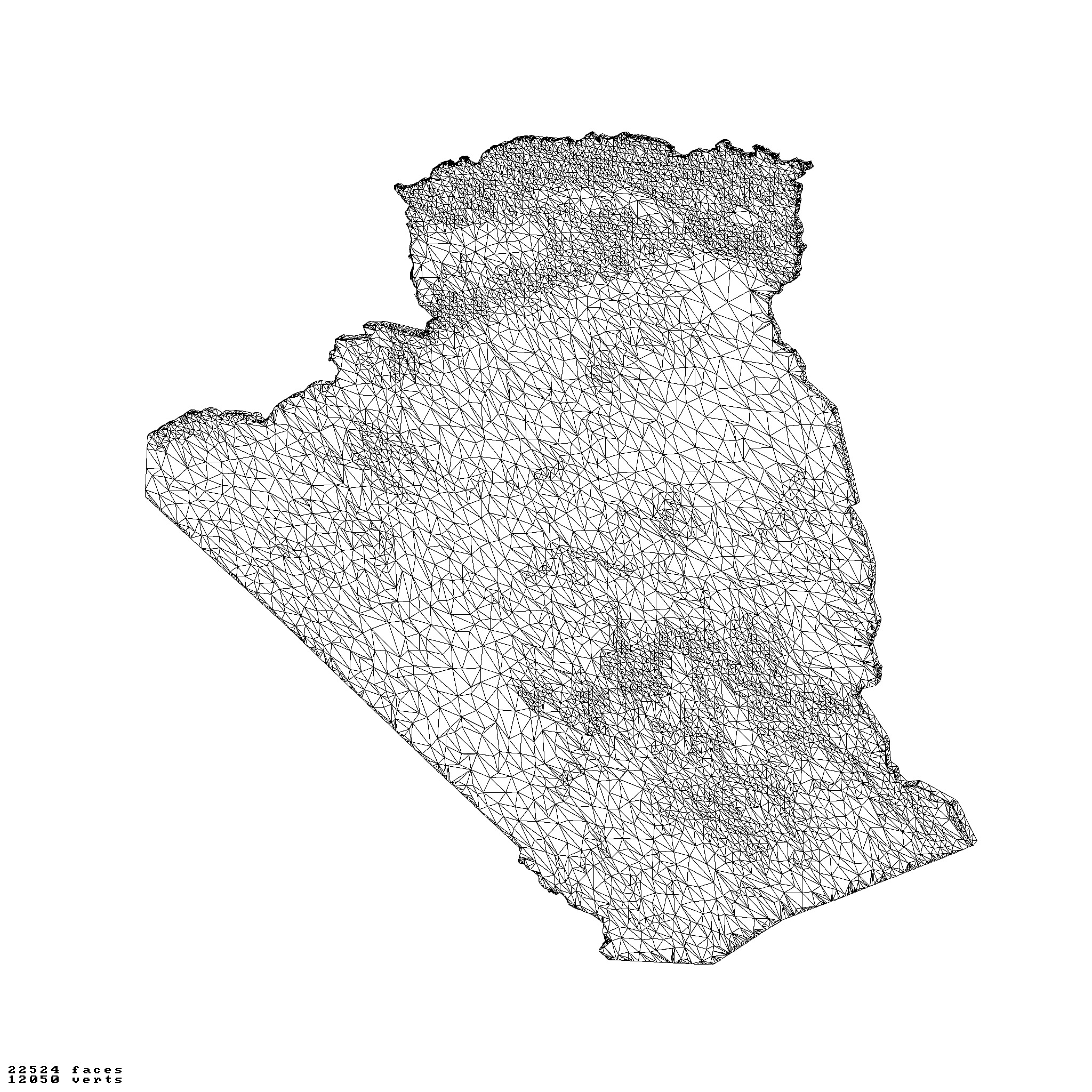 Algeria topographic relief maps 3D print model_1