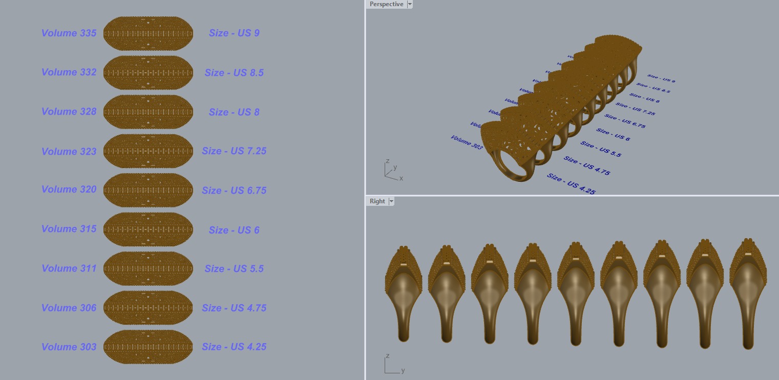 R 198 ornament ring sizes 3D print model_1