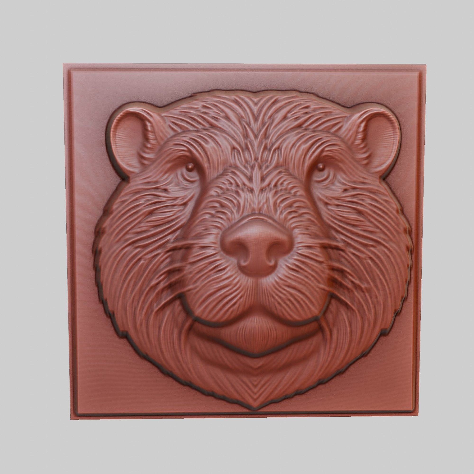 Beaver Animal 3D print model_2