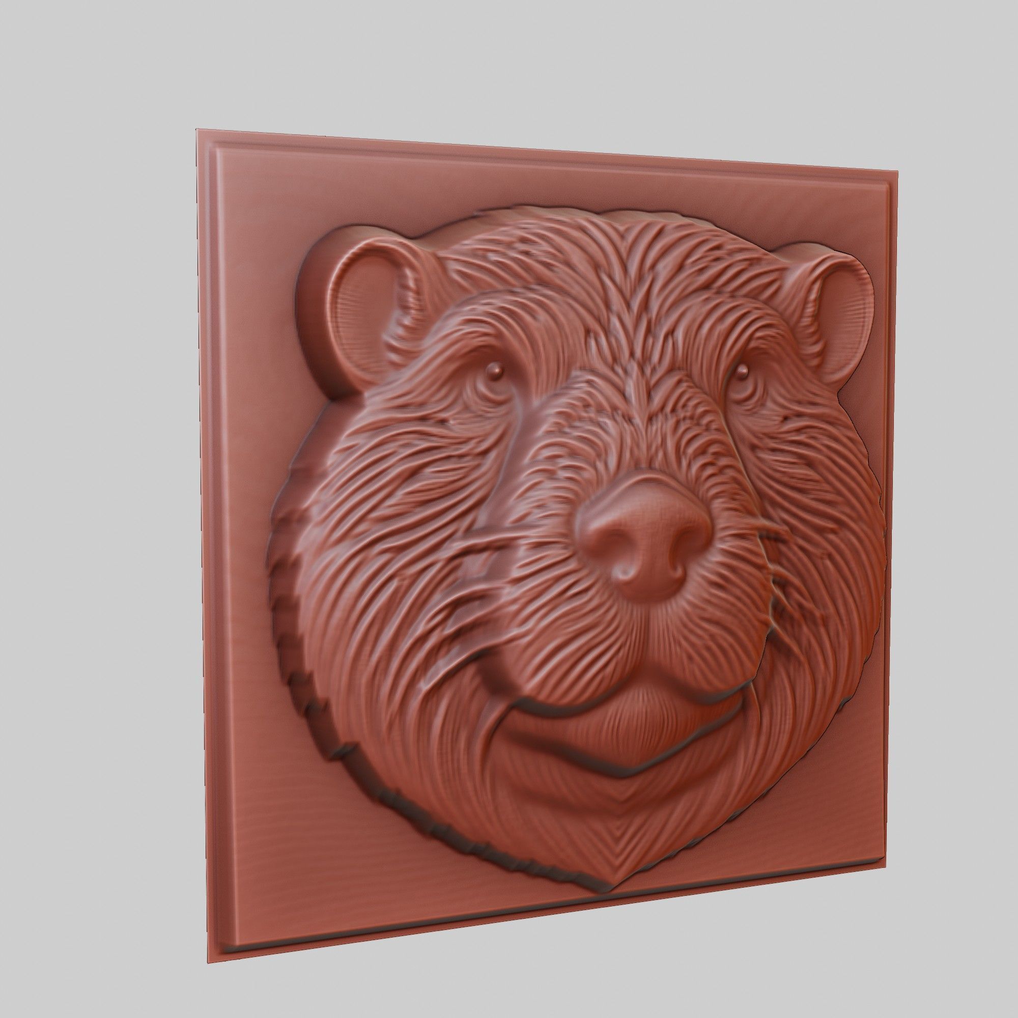 Beaver Animal 3D print model_3