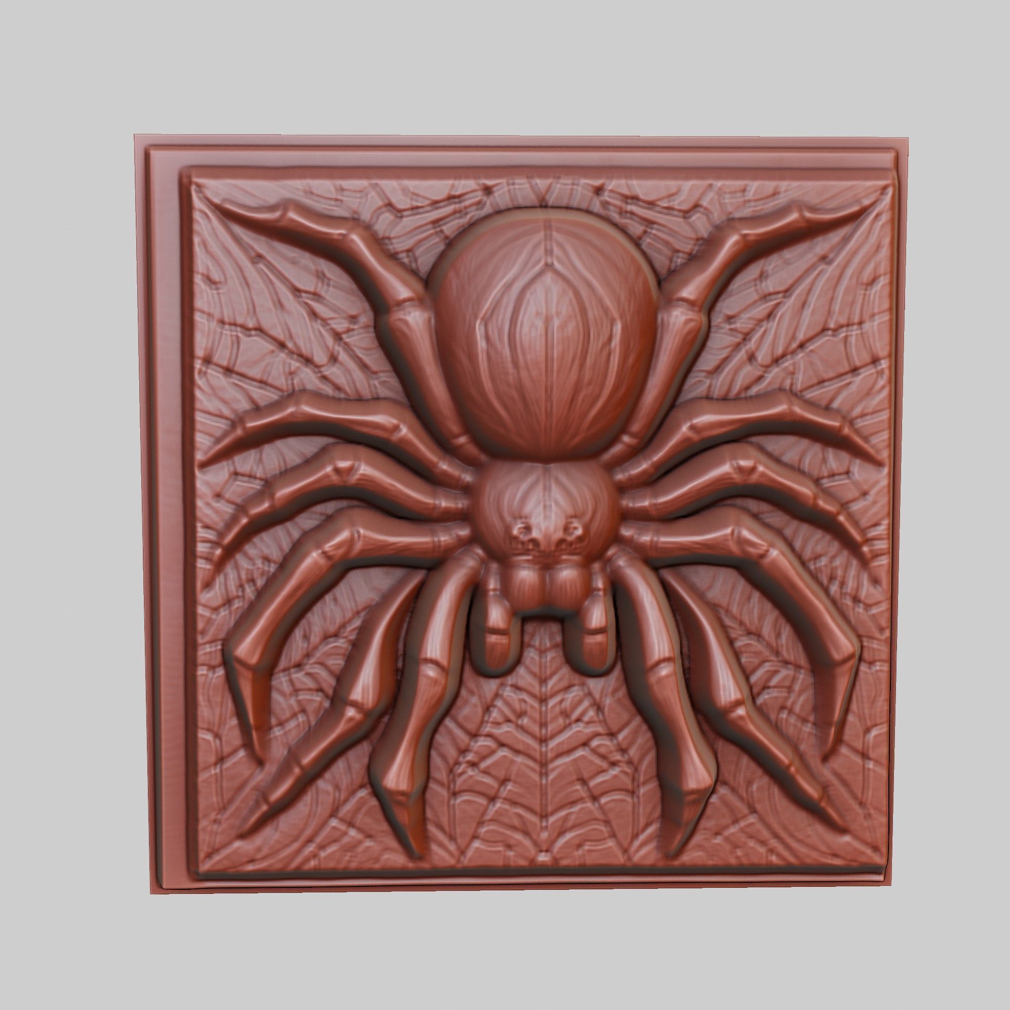 Spider Animal 3D print model_2