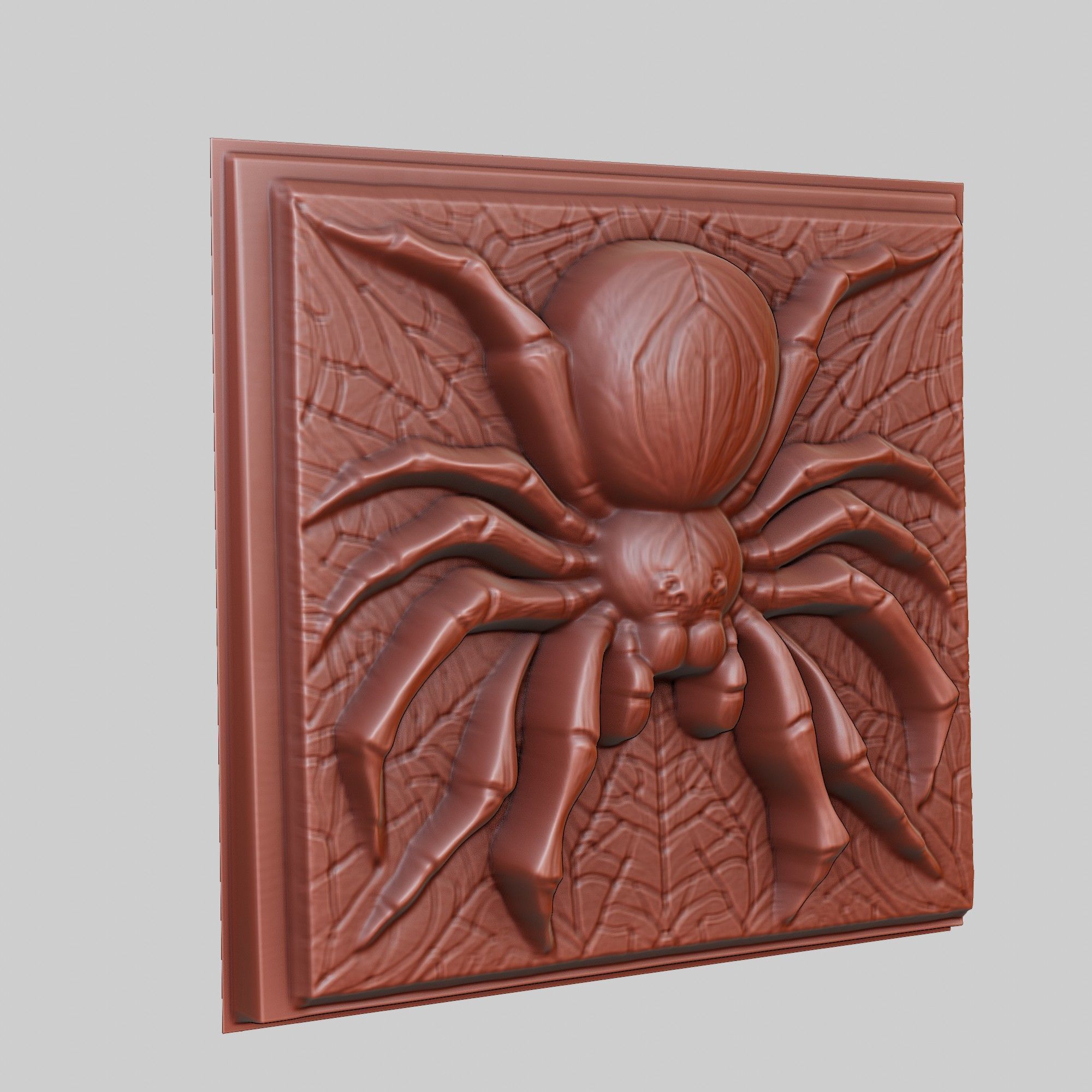 Spider Animal 3D print model_3