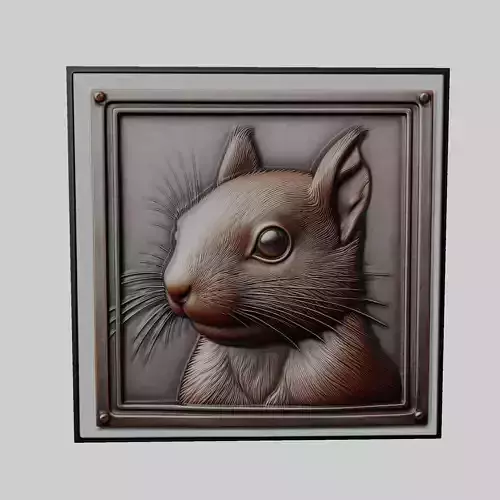 Squirrel Animal