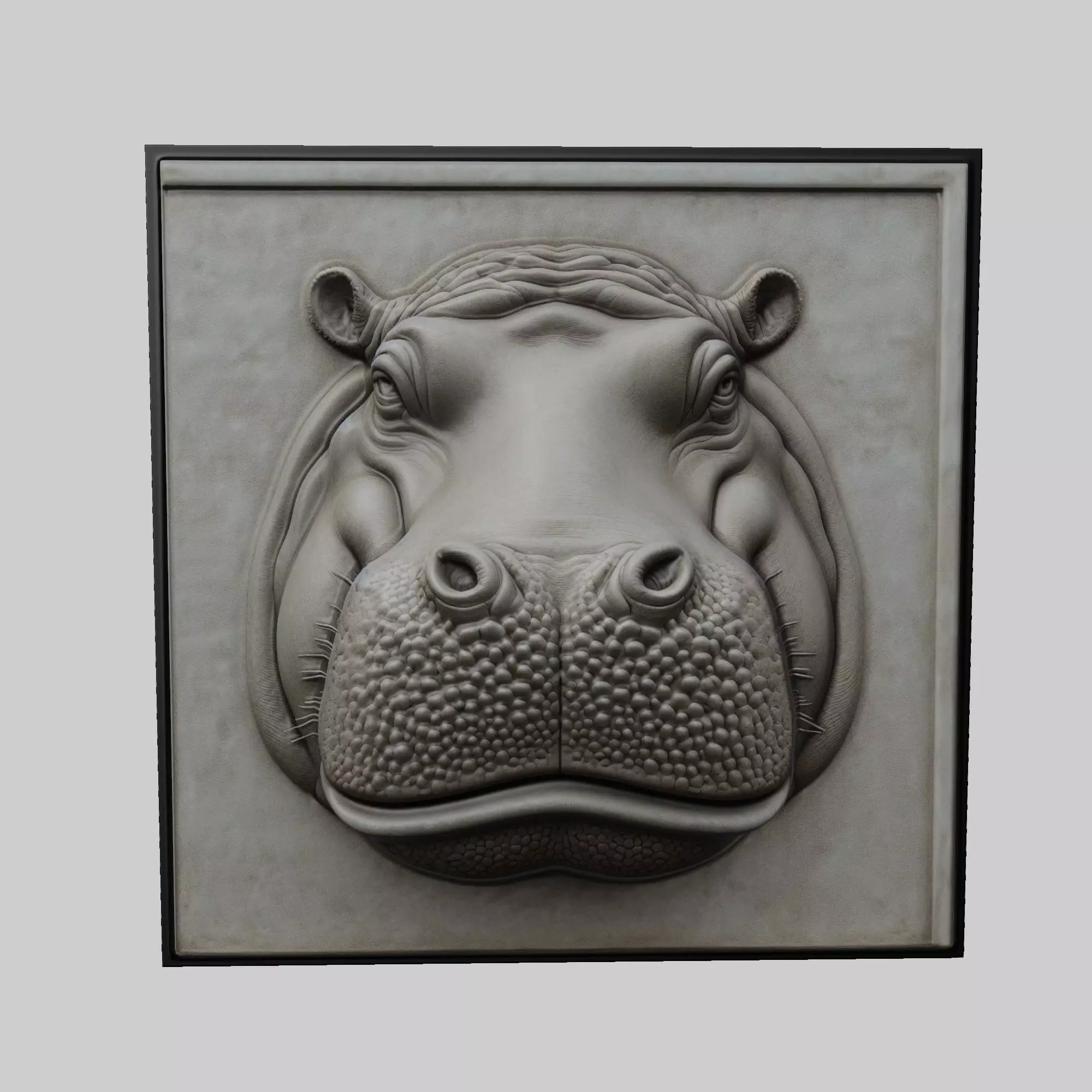 Hippopotamus Animal 3D print model_0