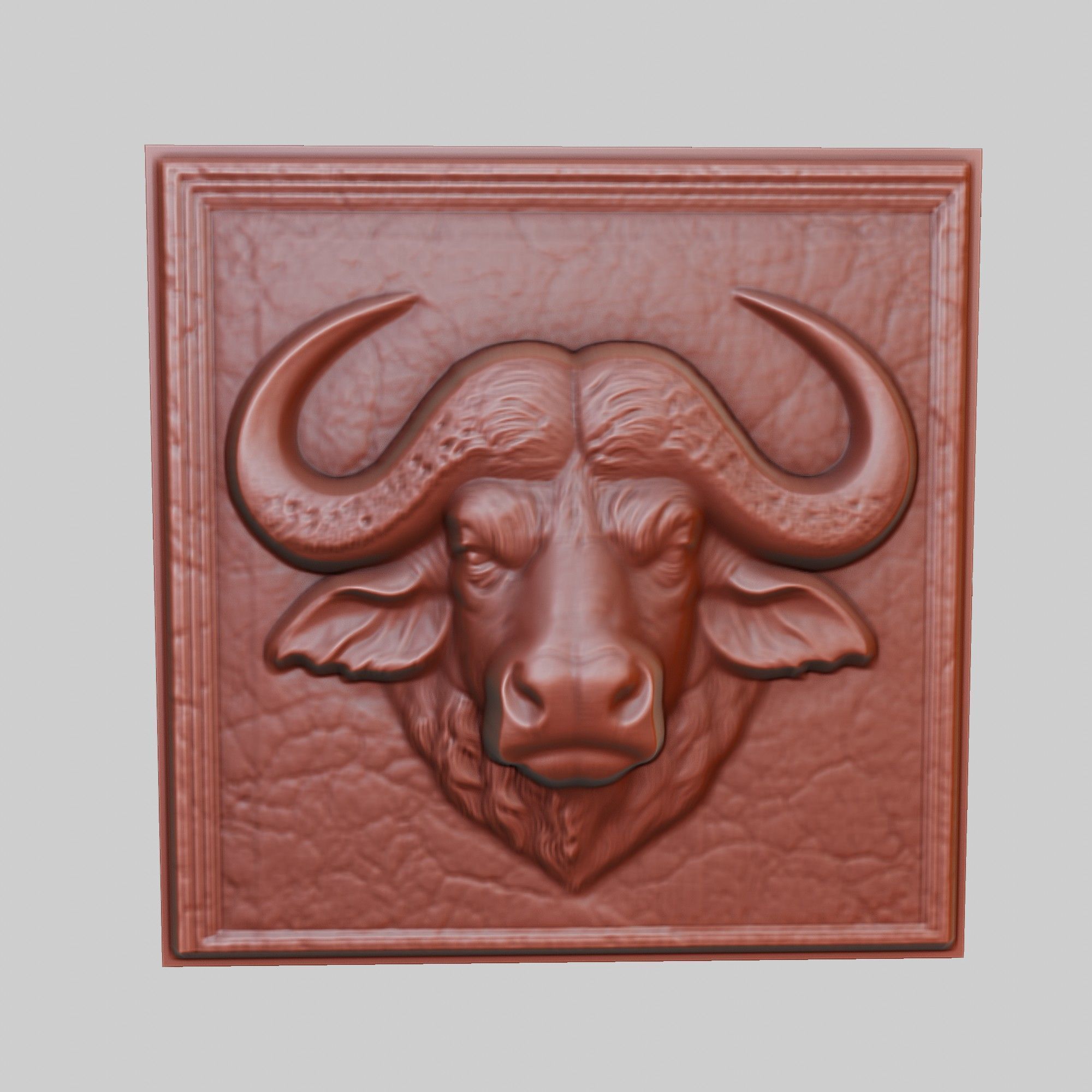 Buffalo Animal 3D print model_2