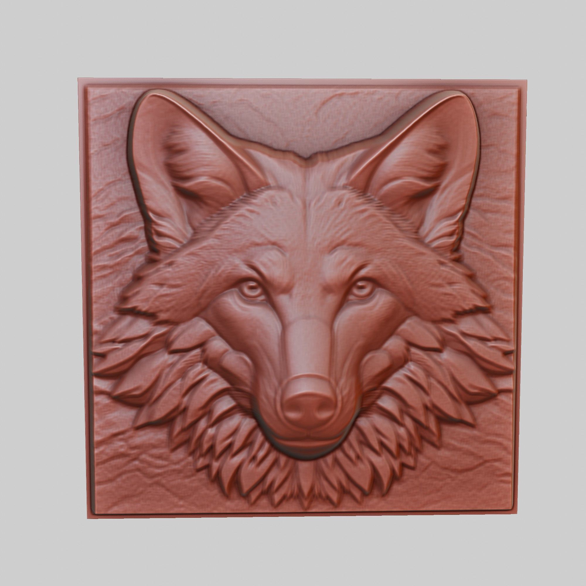 Jackal Animal 3D print model_2