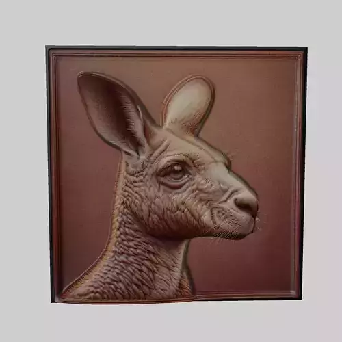 Kangaroo Animal