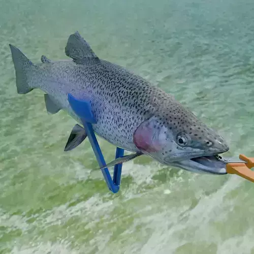 Fish Tongs Free 3D print model