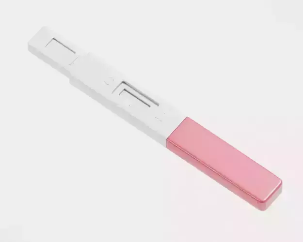 Pregnancy Test Kit