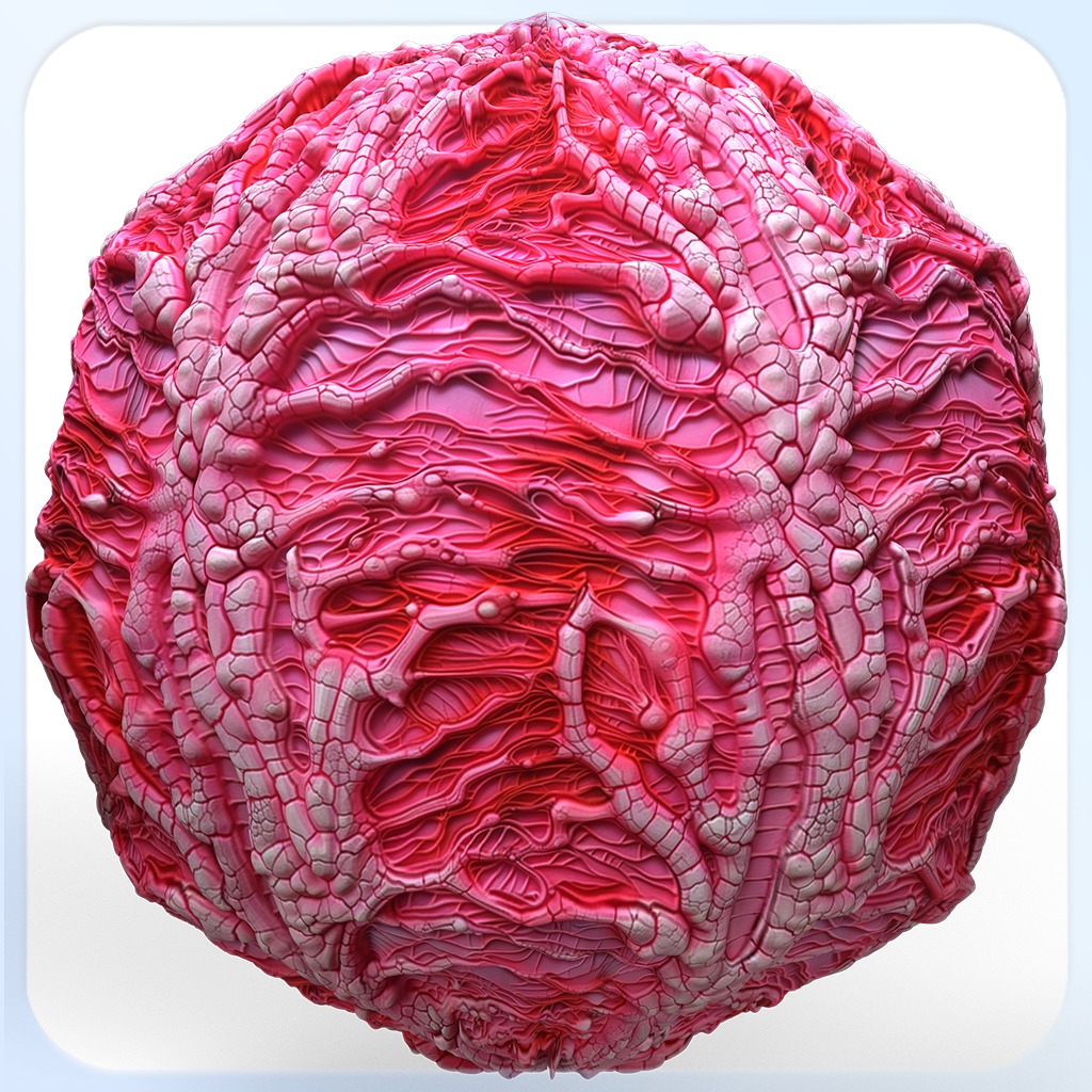 Anatomy Seamless Texture Texture_2