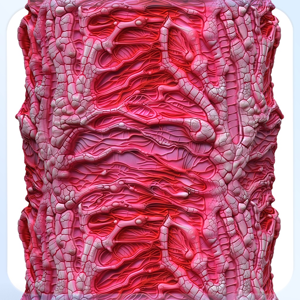 Anatomy Seamless Texture Texture_3