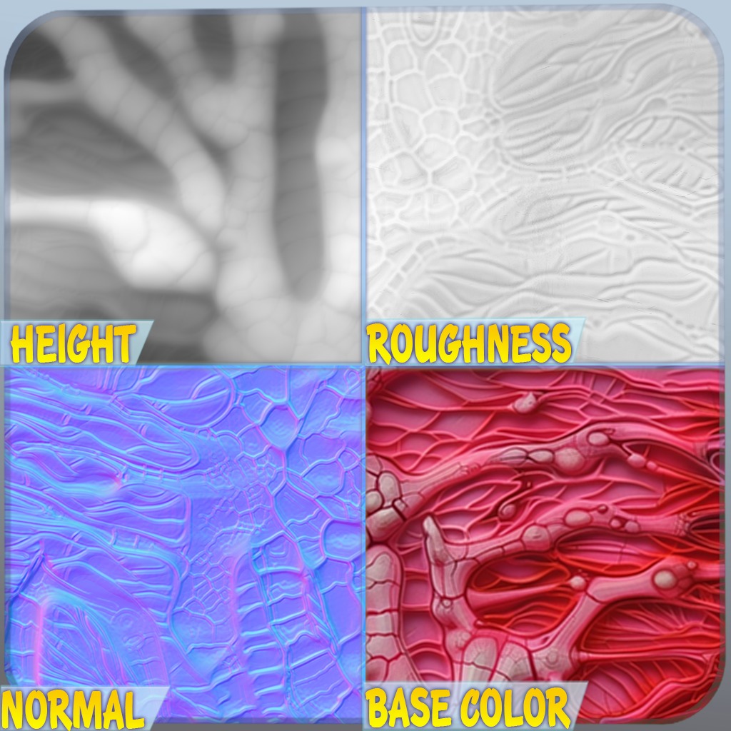 Anatomy Seamless Texture Texture_1