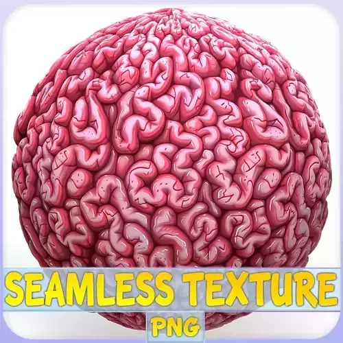 Anatomy Seamless Texture