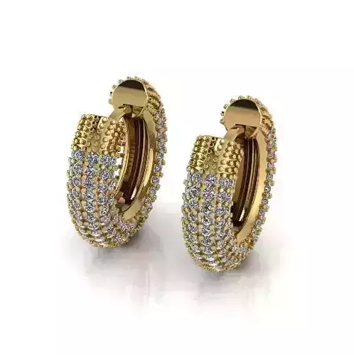Earrings Model 6255