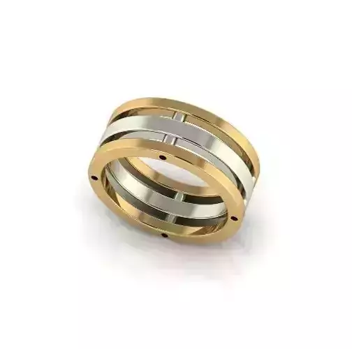 Ring Model 6251
