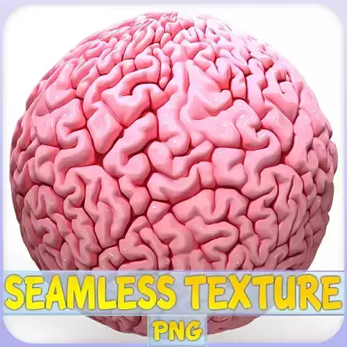 Anatomy Seamless Texture