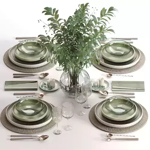 tableware setting N041
