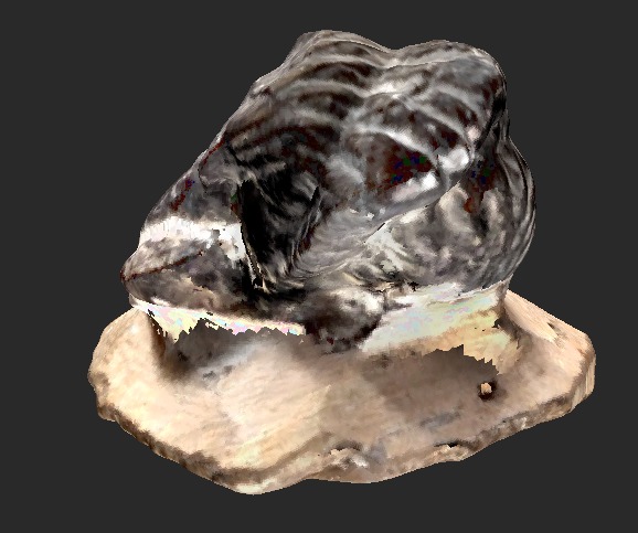 Trilobite Fossil 3D model_2