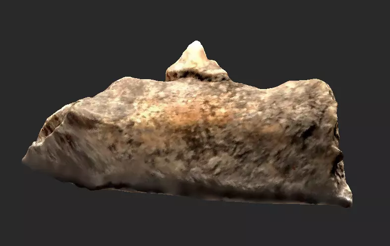 Fossilised dog mandible fragment 3D model